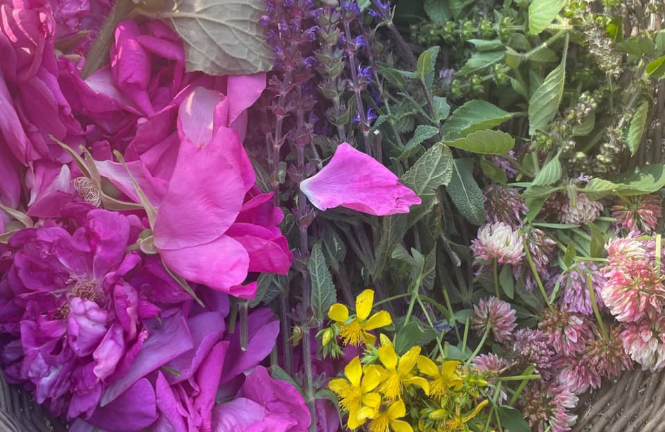 Warm botanical background